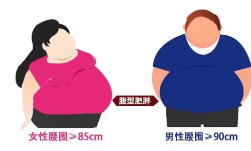 仲景香砂养胃丸说明书与主治-仲景砂养胃丸说明书网仲景香砂养胃丸好吗知识网站,分享仲景香砂养胃丸360粒多少钱一瓶大全